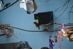 DSC_9086.JPG